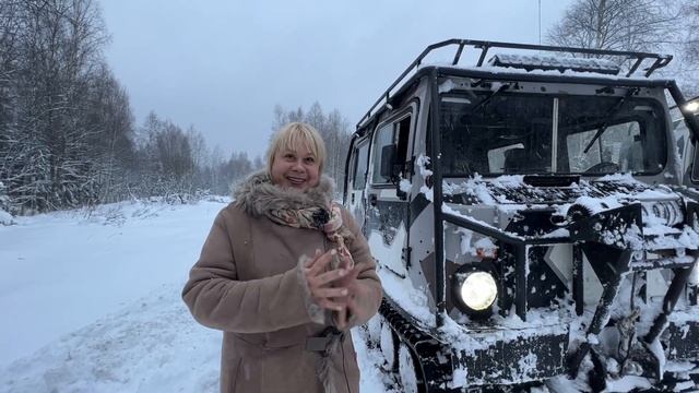 ЛОСЬ В ЛЕСУ | Два вездехода BV206 на прогулке смотреть онлайн