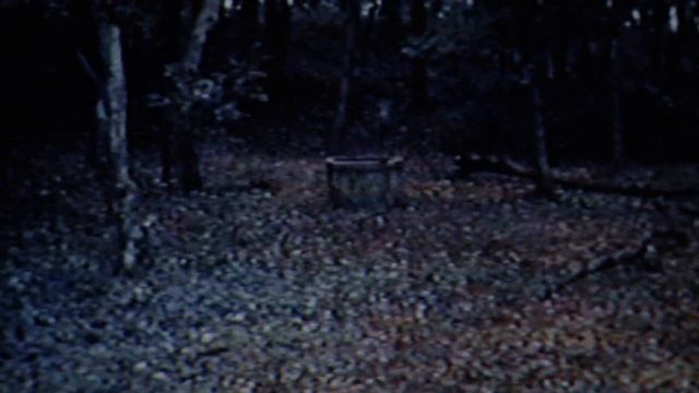 Cursed Video Tape 1 | Music From The Ring