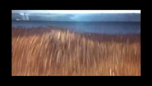 Оборудование для производства драже (Китай) смотреть онлайн