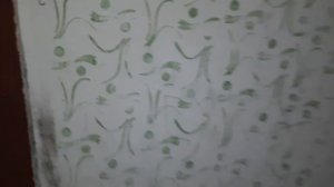 Лифты КМЗ 320 кг  0,71 м/с и 500 кг 1 м/с, грузовой лифт сломался, как мы искали грузовой лифт