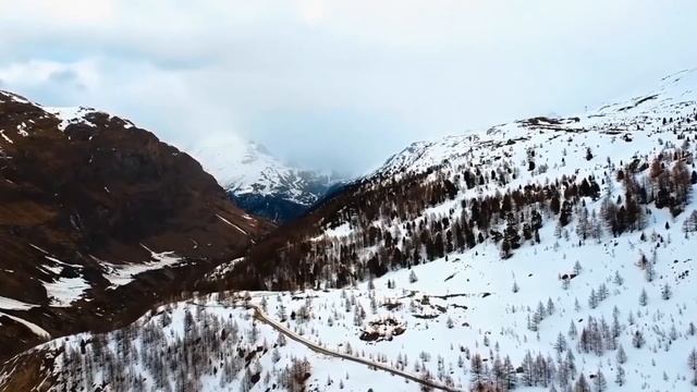 Зять не может отказать теще в этом деле. История из жизни. смотреть онлайн