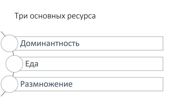 Мужчина всегда прав смотреть онлайн