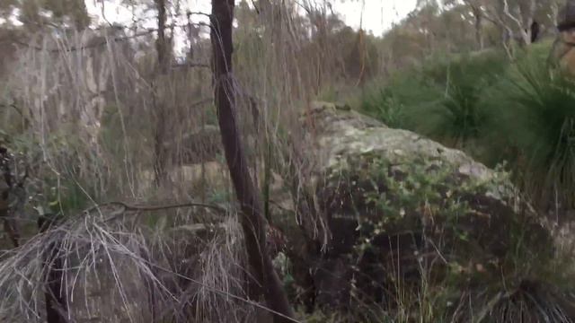 Drylands strategies permaculture Swales part 1 смотреть онлайн