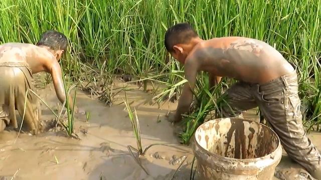 Рыбалка в грязи по колено/Мальчишки. смотреть онлайн
