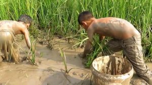 Рыбалка в грязи по колено/Мальчишки.