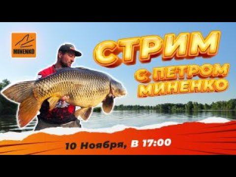 Что купить в Чёрную пятницу смотреть онлайн