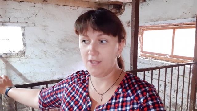 СВИНОМАТКА И ПОРОСЯТА. ВЫРАЩИВАЕМ ДЮРКОВ.НАШ СВИНОЙ БИЗНЕС смотреть онлайн