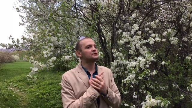 Сетевая басня "Петушка и Кукух" смотреть онлайн