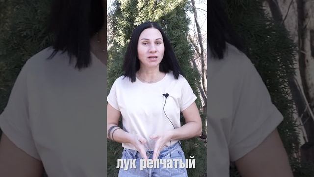 В апреле можно посадить многие овощные культуры и некоторые цветы смотреть онлайн