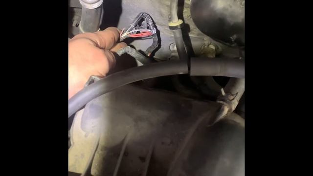 ‘01 Mazda Tribute/Ford Escape Blown HEGO Fuse смотреть онлайн