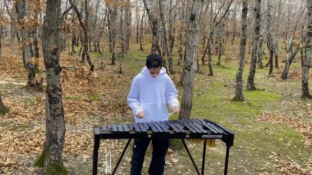 DanceMonkey (cover)