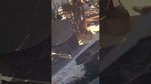 Ирбитская ярмарка 21 08 2015 мастер класс смотреть онлайн