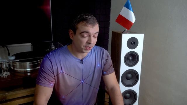 Отличные напольники Davis Acoustics Krypton 9 смотреть онлайн