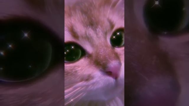 video_11@29-09-2020_17-43-29.mp4 смотреть онлайн