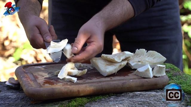 Μάζεμα και Μαγειρική Άγριων Μανιταριών Μακροζωίας | Ικαριακή Διατροφή | #DoStathi смотреть онлайн
