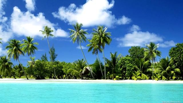 Deepak Chopra - Purification смотреть онлайн