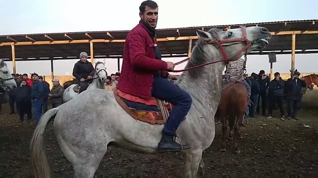 Аспбозори ш. Душанбе н.Рудаки смотреть онлайн