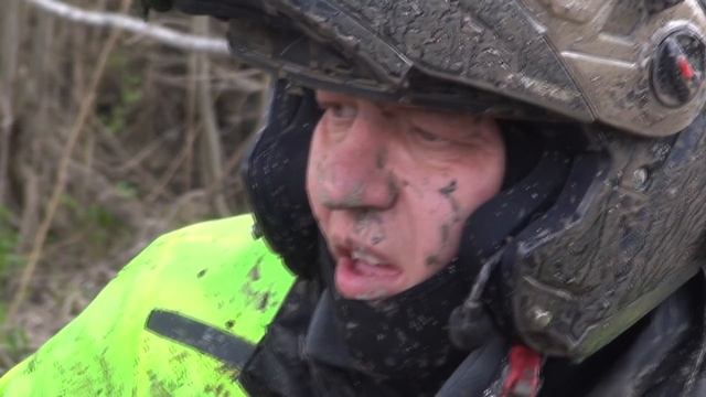 Михневские Леса