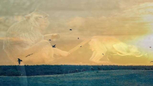 Трамп и колорадские жуки Выборы в Америке 2020 США кто будет президентом