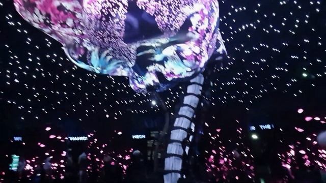 Expo 2020 Дубай павильон Россия смотреть онлайн