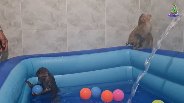 Sam boy swims in the water with cute balls смотреть онлайн