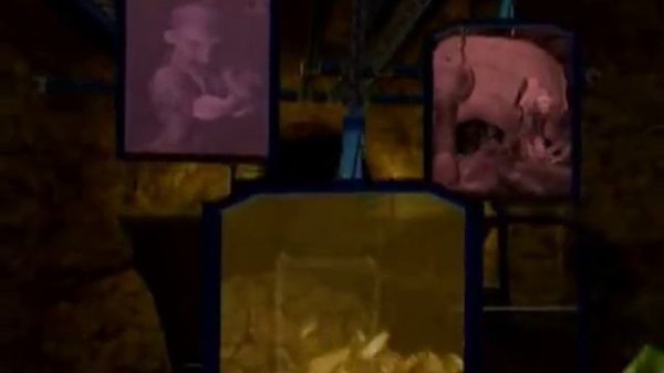 Pitfall : The Lost Expedition - Trailer