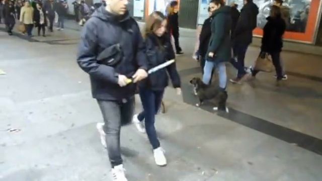 Hombre se juega con perro, El Cortes Ingles, Puerta del Sol, Madrid смотреть онлайн