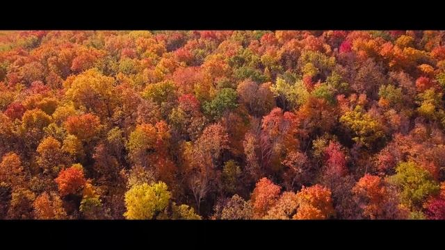 ЗОЛОТАЯ ОСЕНЬ | Национальный парк "Самарская Лука" | 4k смотреть онлайн