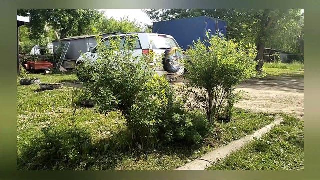 3 июня значимое событие в Кирове- Вятке. Крестный ход на реку Великую. смотреть онлайн