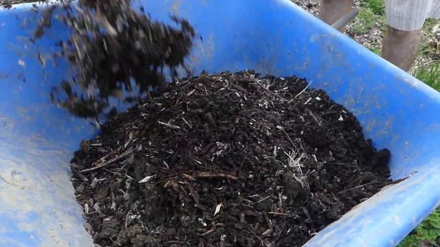 Skid Steer Broadforking And Bubblegum Petunias