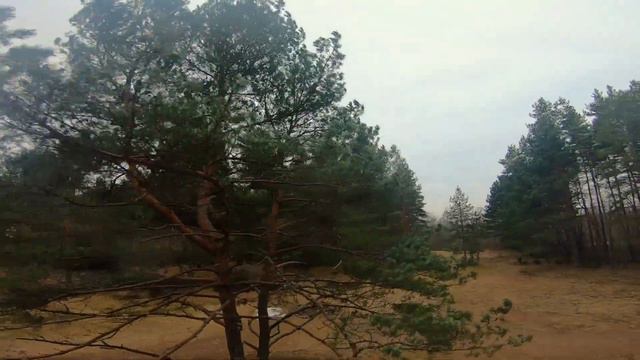 Леса, природа, красивые виды, расслабляющая музыка, полеты между сосенок, красотища! смотреть онлайн