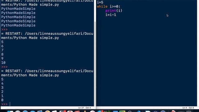 while Loop In Python programming,Break statement & Continue statement смотреть онлайн