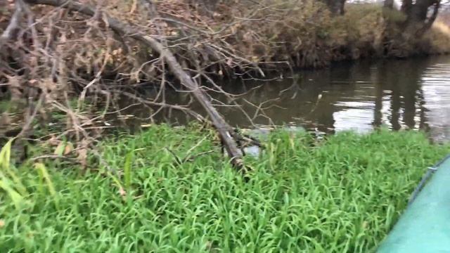 Сплав по реке Шерна. День четвертый. смотреть онлайн