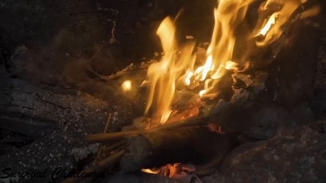 60 Days Solo Bushcraft - What does JUNGLE MAN eat to survive in the forest? смотреть онлайн