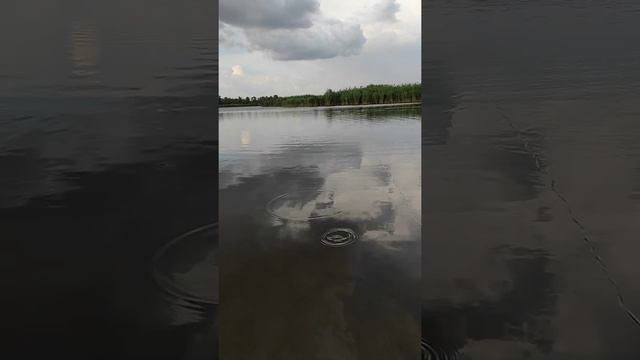 нормальная рыбалка на сухом чалтыре смотреть онлайн