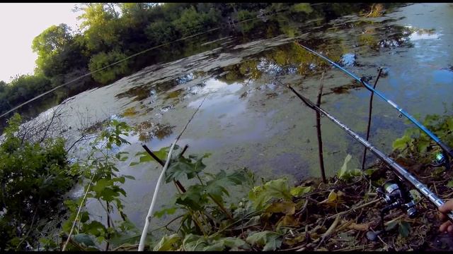 ПРОСТО ПОЕЗДКА НА РЫБАЛКУ НА КАРПА ЛЕТОМ смотреть онлайн