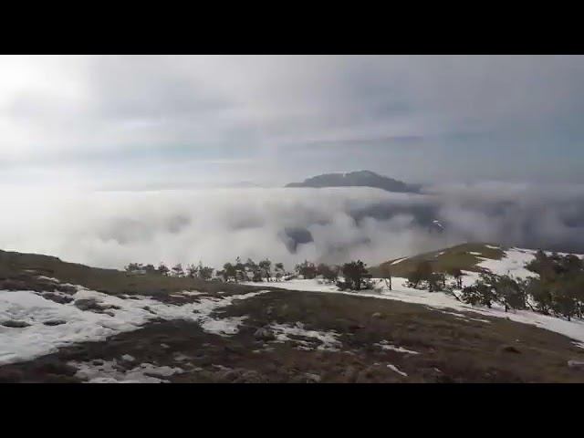 Цыганские песни/ Христианские песни Мангав Девлес #gypsy #цыганскиепесни #shorts # смотреть онлайн