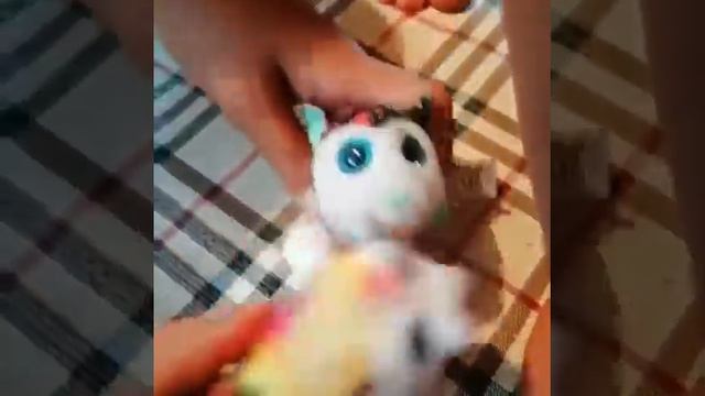 Играем на батуте ? веселимся? Игры/хомячки ? смотреть онлайн