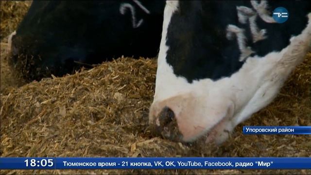 Проекты на 1,5 миллиарда смотреть онлайн