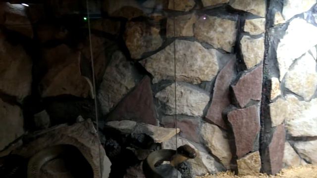 Немец офигевает в России - E489 - Екатеринбург - день 14 - видео 66 - крокодилы смотреть онлайн