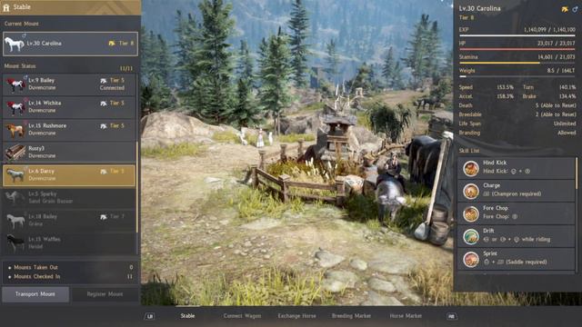 Horse Training Black Desert Online - Console смотреть онлайн