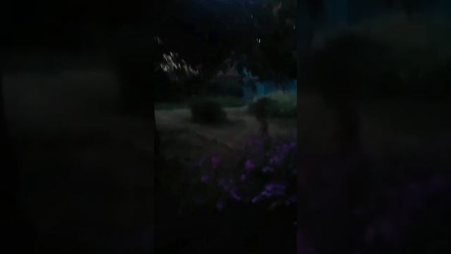Гостевой дом "Море" Абхазия смотреть онлайн