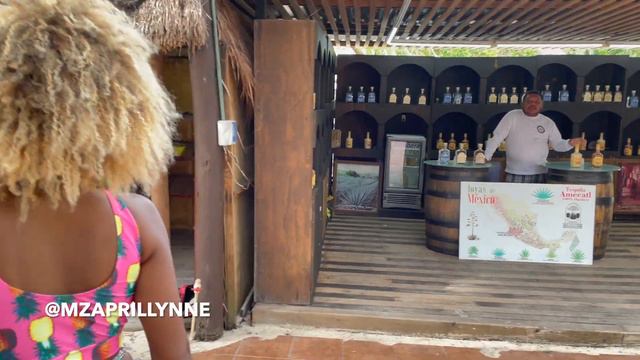 COZUMEL ISLAND TOUR DAY TRIP смотреть онлайн