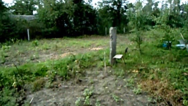 В РОДНЫХ МЕСТАХ смотреть онлайн