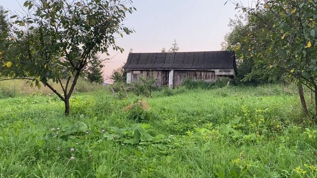 Оазис зелені: моє улюблене місце смотреть онлайн