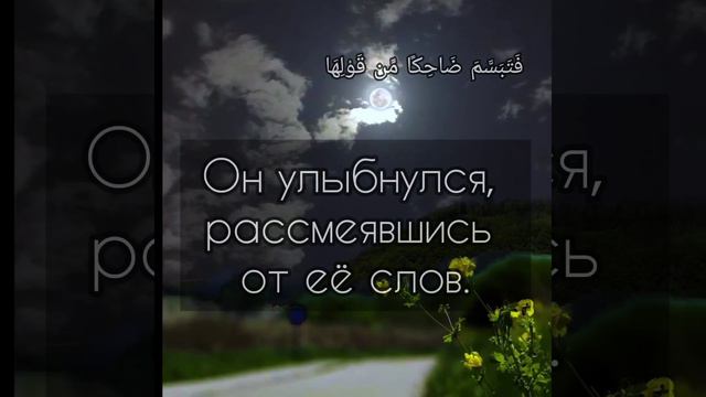 Коран ,сура Ан-Намль аят 18-19 telegram @t.me/l_tarsir смотреть онлайн