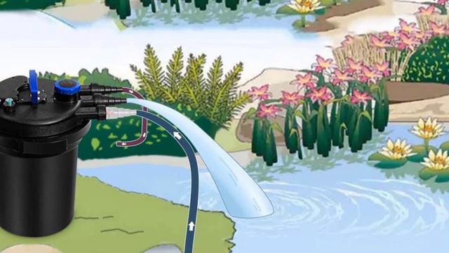 Koi Pond Filter: ✅ Best Koi Pond Filters 2024 (Buying Guide)