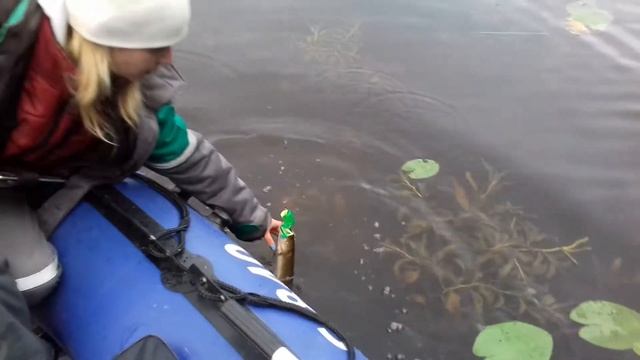 Ловля щуки на лягушку и окунь на микрокренк смотреть онлайн