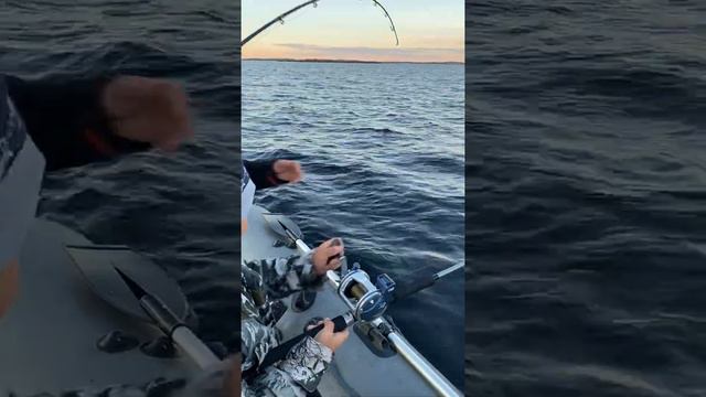 Рыбалка на белом море смотреть онлайн