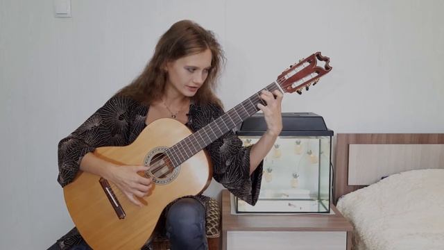 Д. Агуадо Этюд a-moll (Урок 21) смотреть онлайн